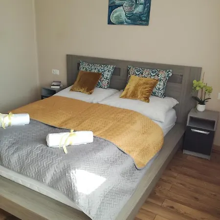 Erdei Szalonka Apartman Apartment Sarospatak
